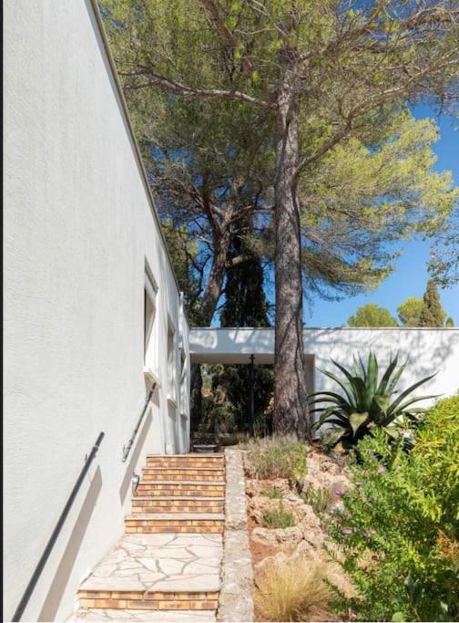 Magnifique Piscine Jardin * Fréjus