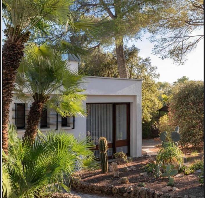Magnifique Piscine Jardin * Fréjus